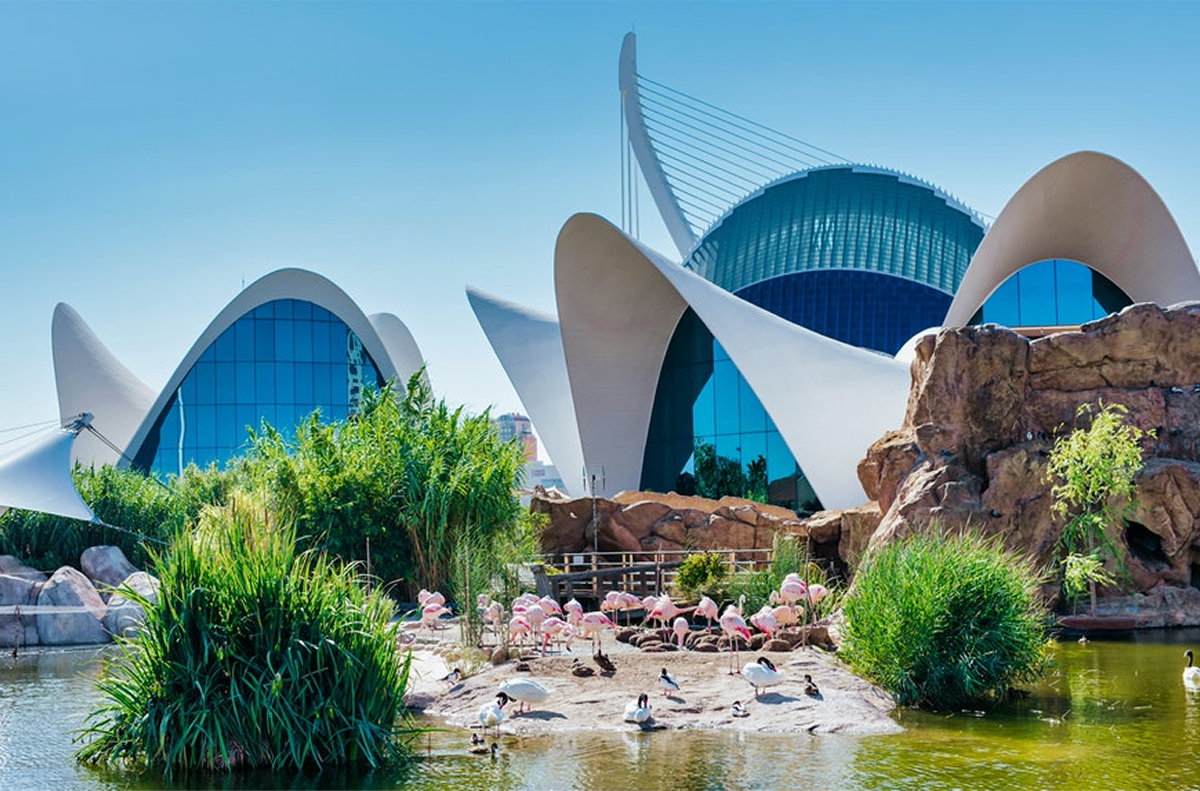 Kinh Nghiệm Du Lịch Valencia